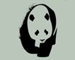 mohan
