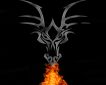DragonXr