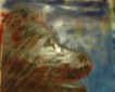 Grizzlybear-Art