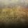 misanthropic_audio