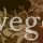 vegestoc