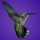 hummingbird