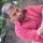 vineet