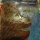 Grizzlybear-Art